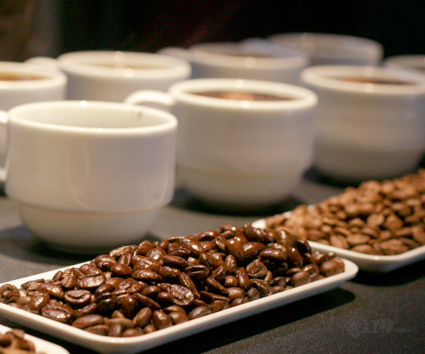 GIÁ TRỊ CỐT LÕI