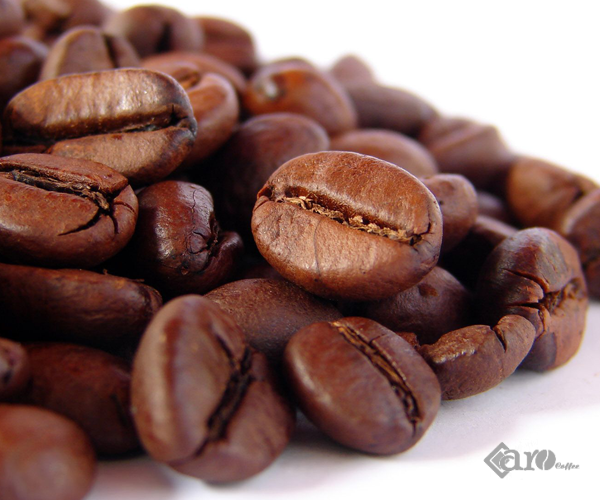 ROBUSTA - LINH HỒN CÀ PHÊ VIỆT NAM