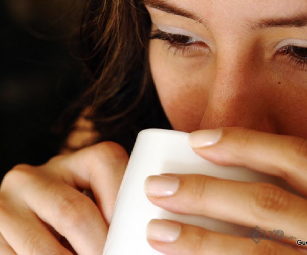 Bảng giá nhượng quyền kinh doanh cafe