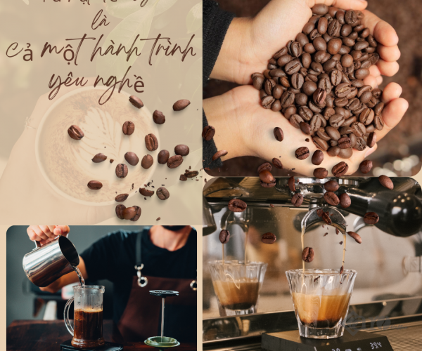 Hành Trình Yêu Nghề